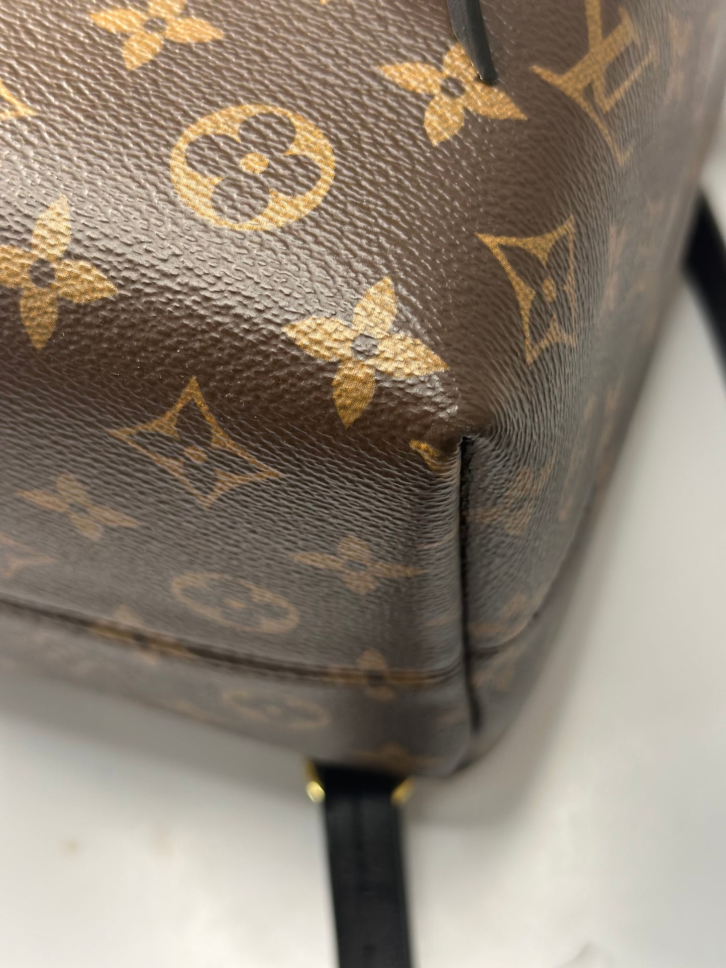 Pre-owned Louis Vuitton monogram Canvas Montsouris NM backpack PM