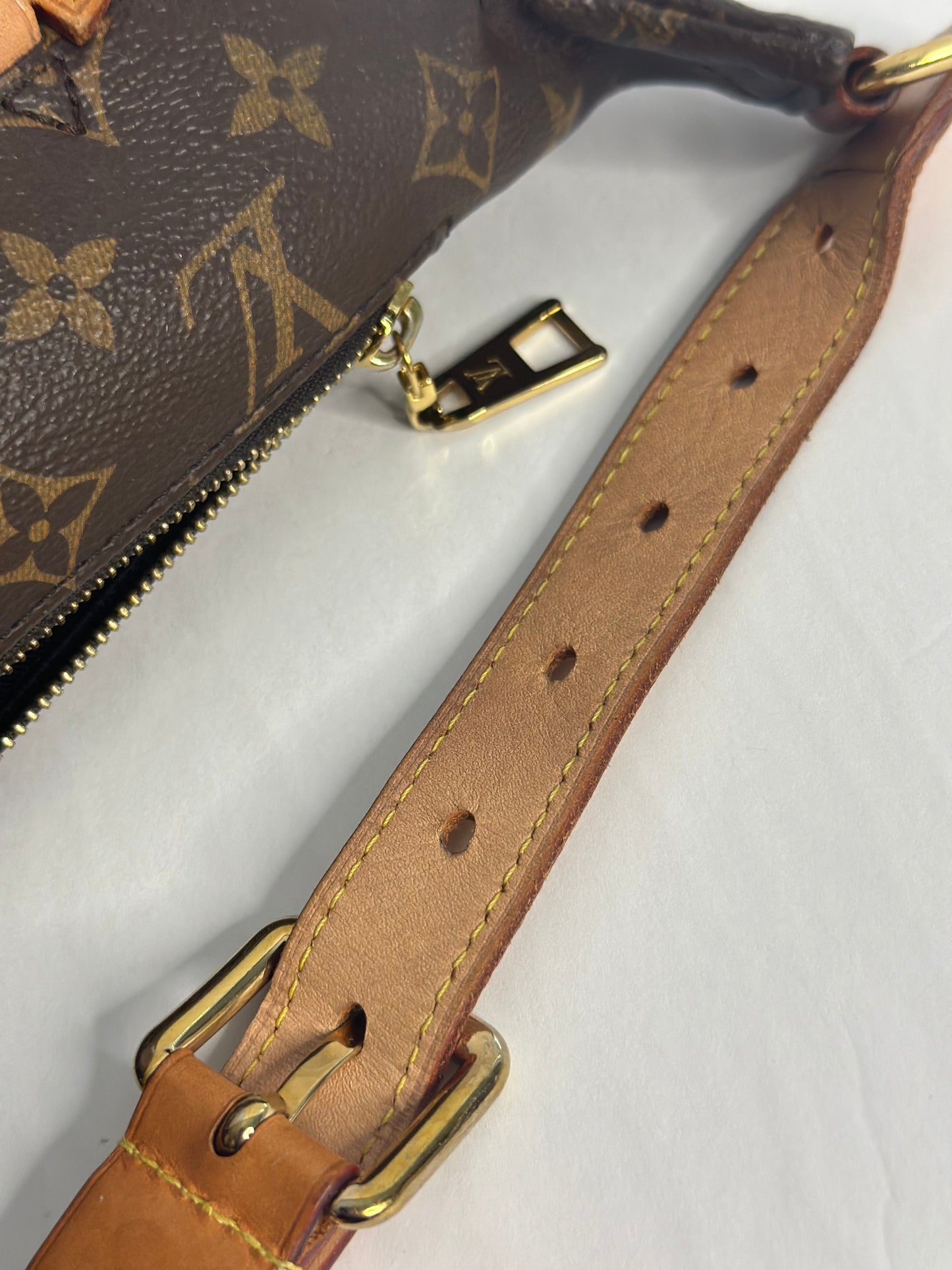 Pre-owned Louis Vuitton monogram canvas OG bumbag