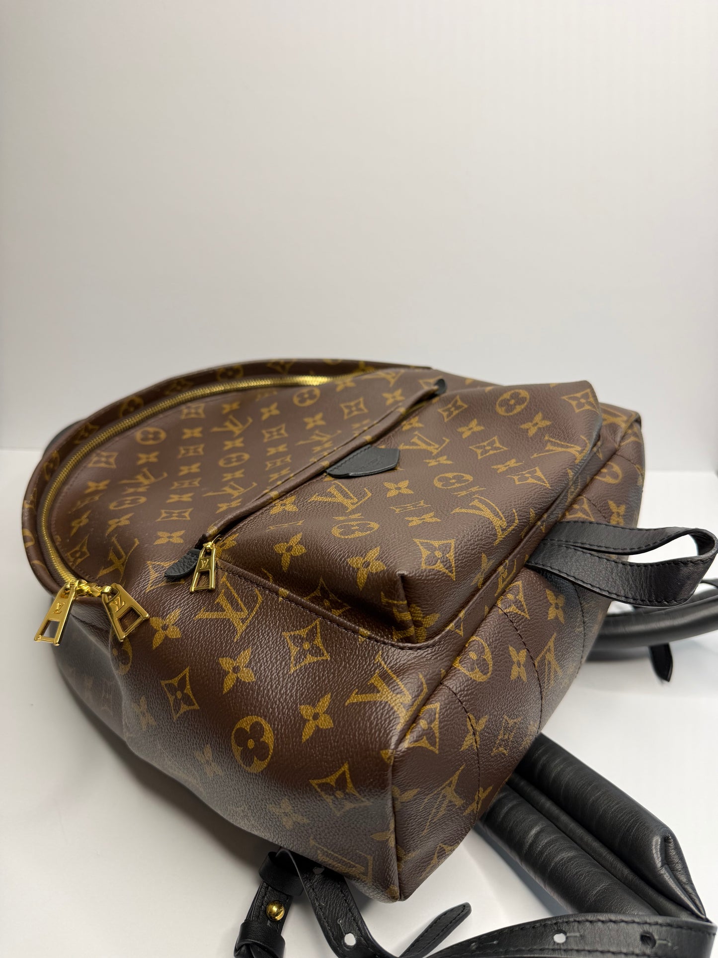 Pre-owned Louis Vuitton monogram canvas, Palm Springs MM backpack