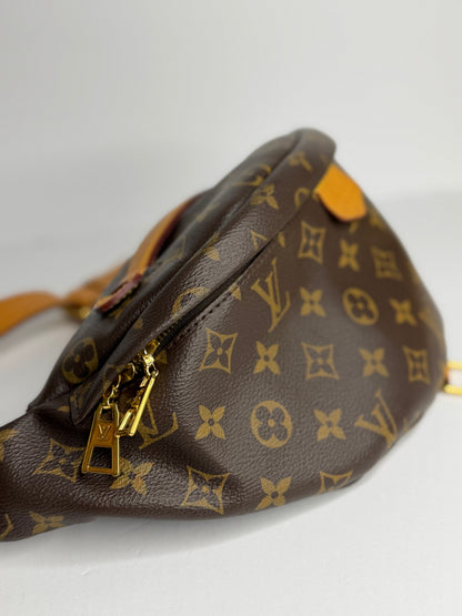 Pre-owned Louis Vuitton monogram canvas bumbag
