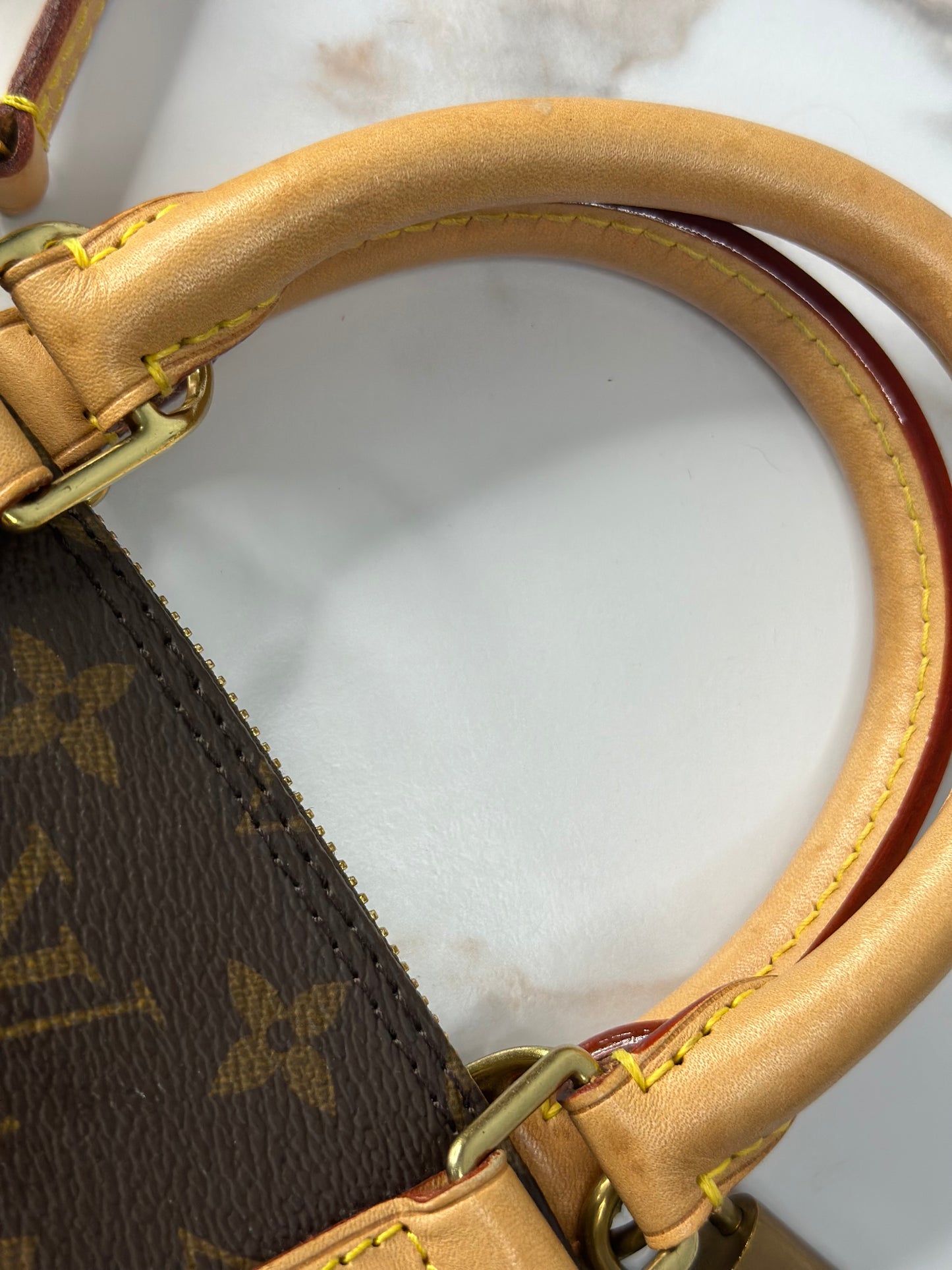 Pre-owned Louis Vuitton monogram canvas Alma BB crossbody