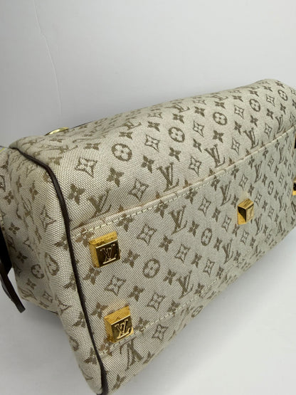 Pre-owned Louis Vuitton Vintage Monogram Mini Lin Josephine PM