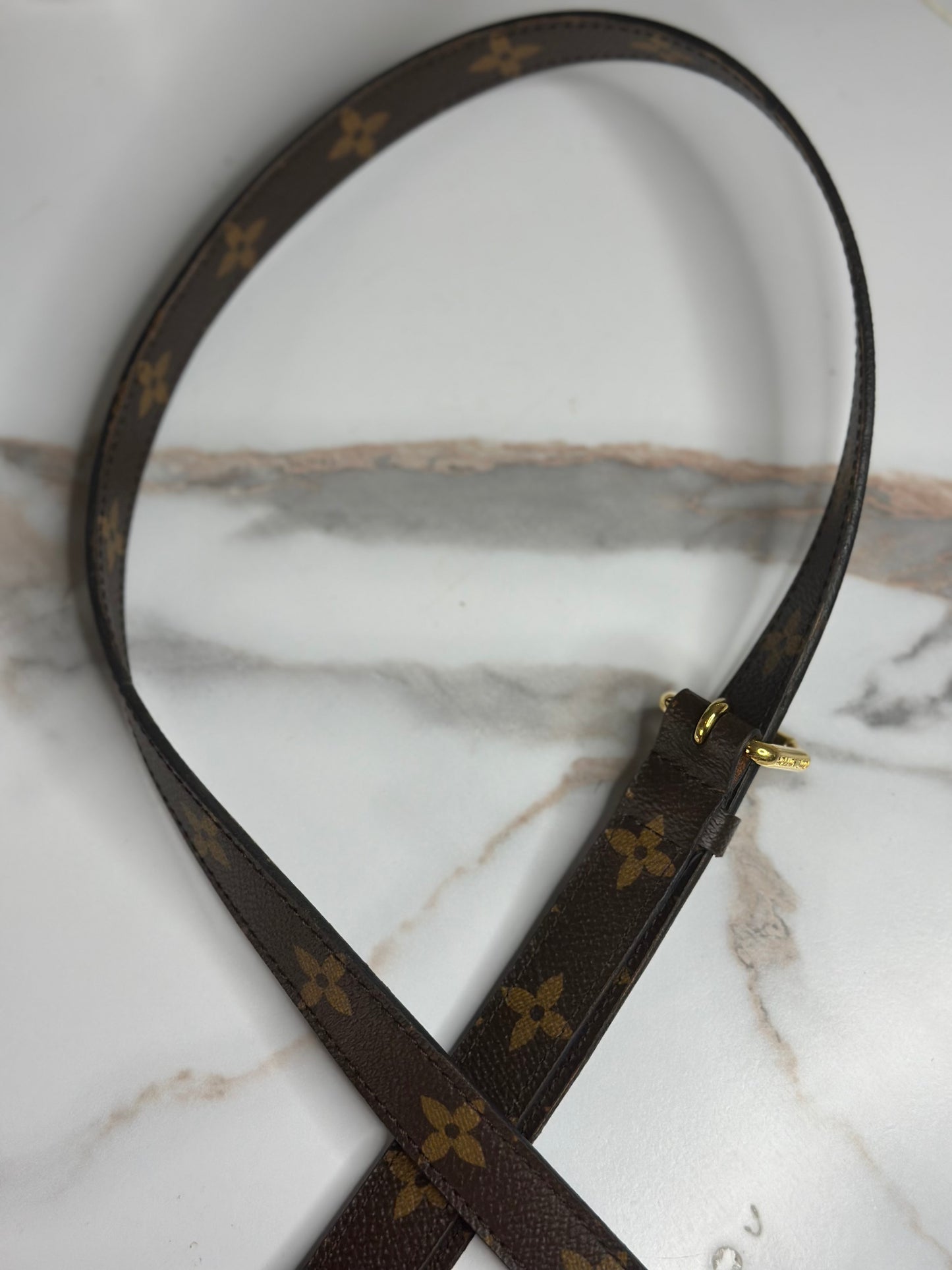 Pre-owned Louis Vuitton monogram pochette metis strap