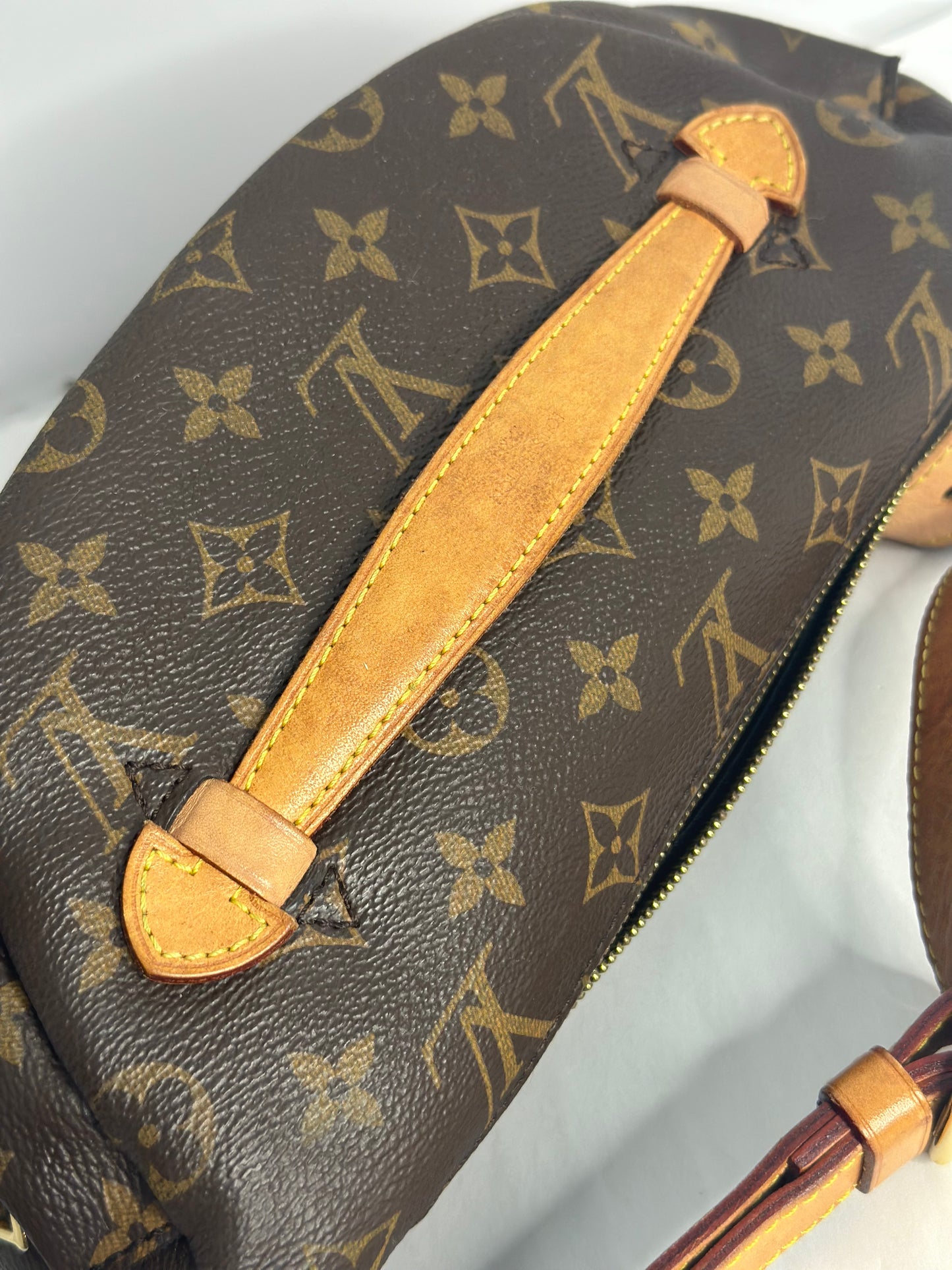 Pre-owned Louis Vuitton monogram canvas OG bumbag