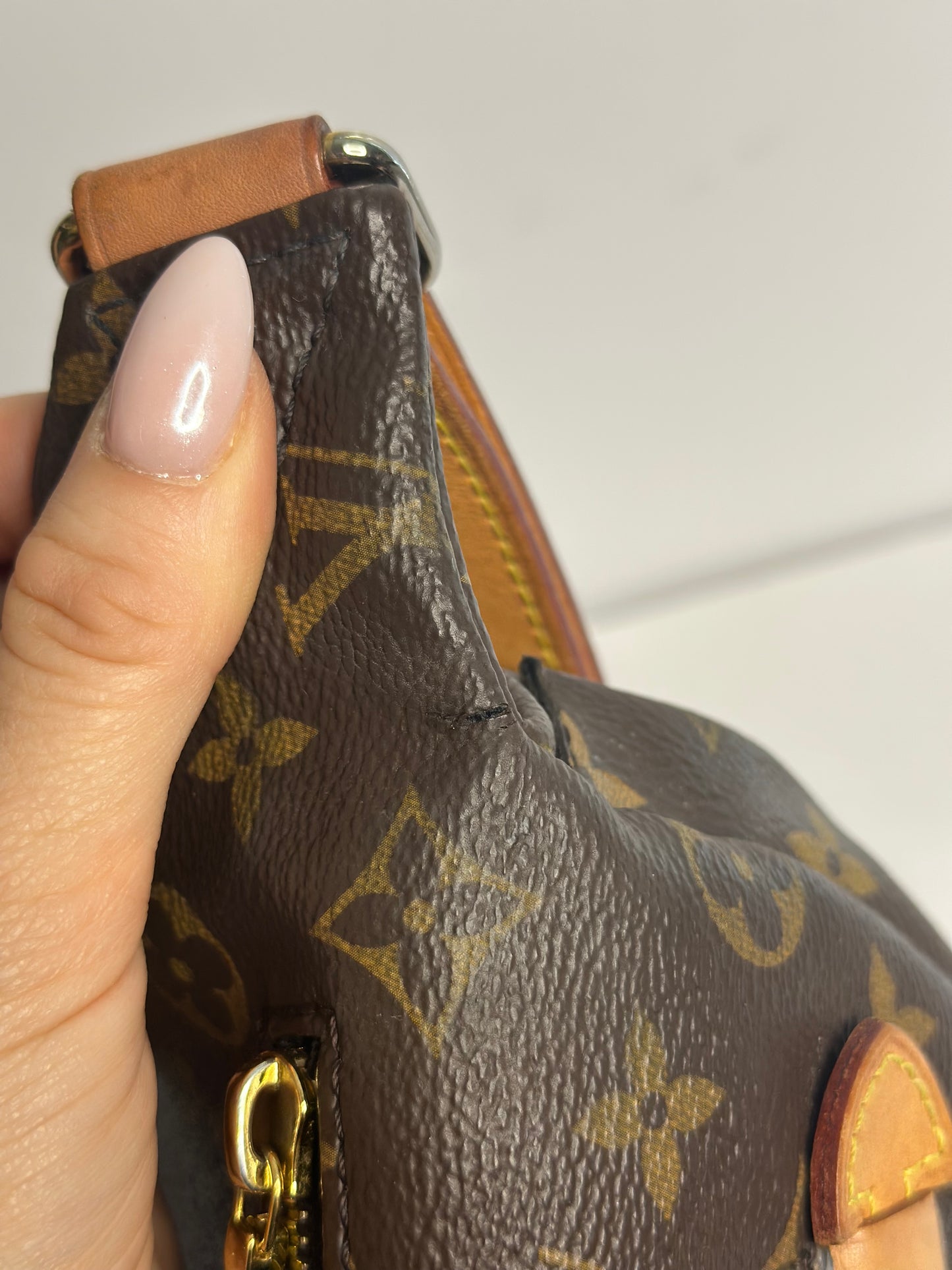 Pre-owned Louis Vuitton monogram canvas OG bumbag
