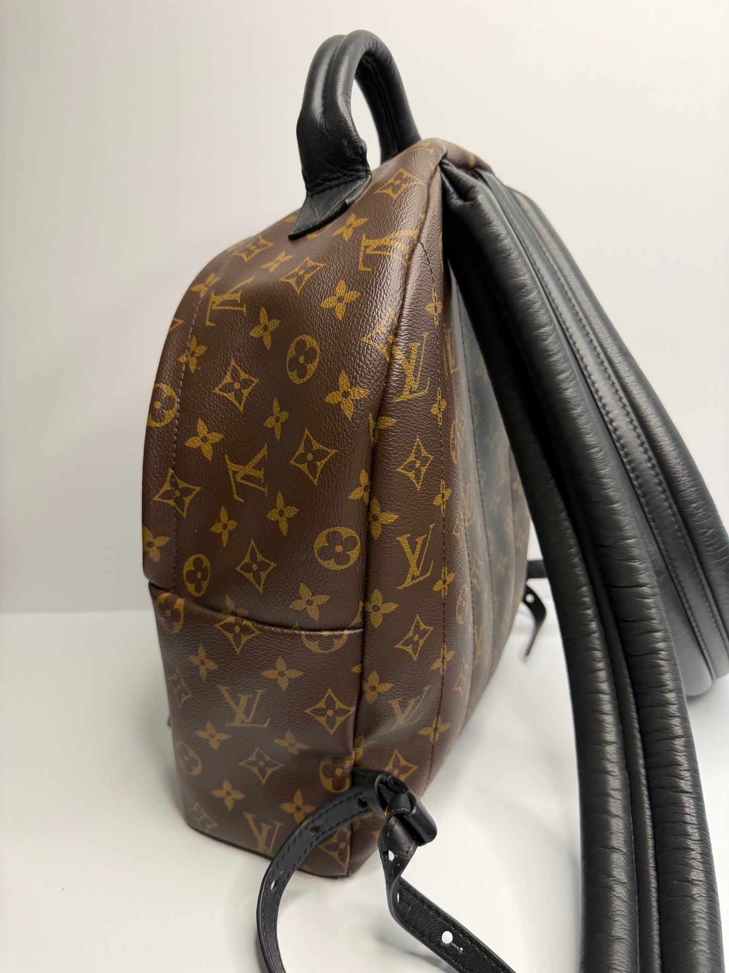 Pre-owned Louis Vuitton monogram canvas, Palm Springs MM backpack