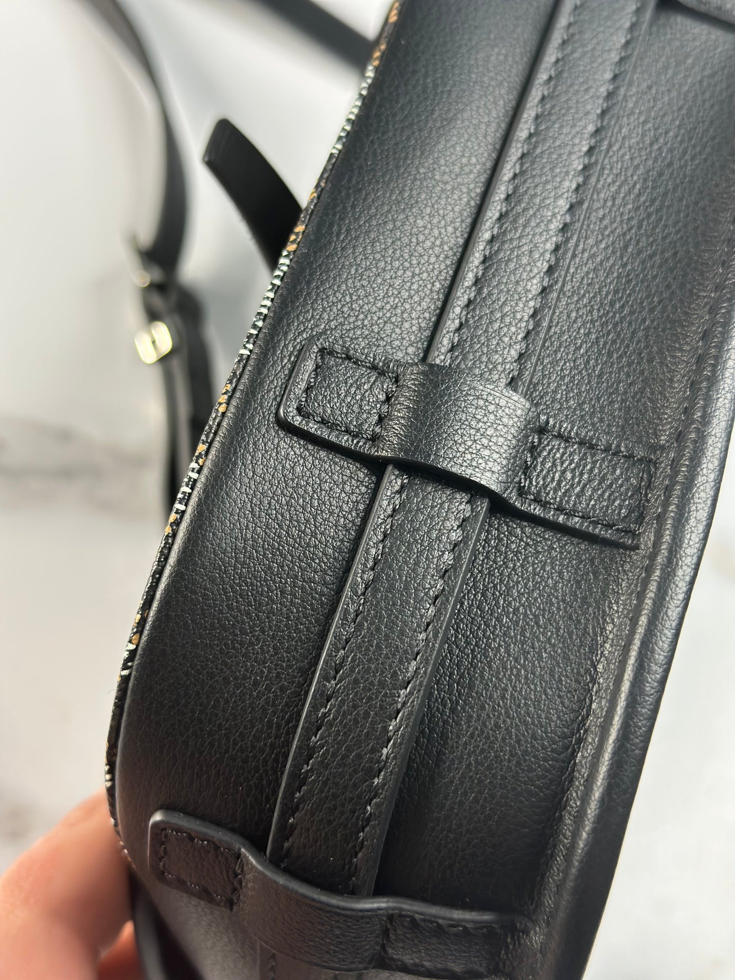Pre-owned Goyard Black Goyardine canvas